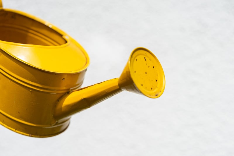 Watering Cans