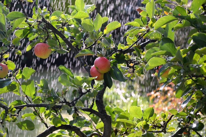 Irrigation Systems