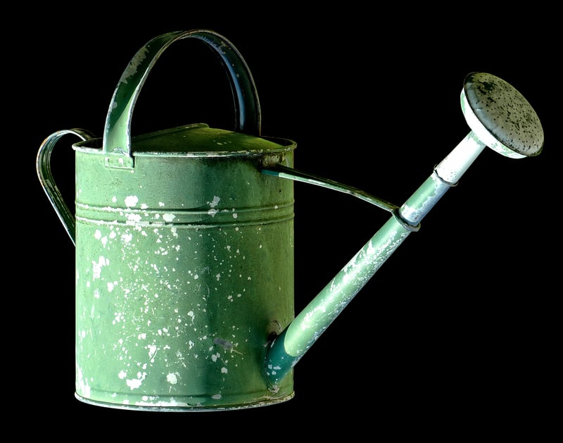 Watering Can